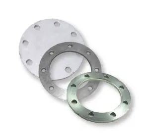 Picture for category Metal Flanges/Full Face Stubs